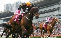 "Đại gia" Hàn Quốc được cho phép đầu tư trường đua ngựa trăm triệu đô