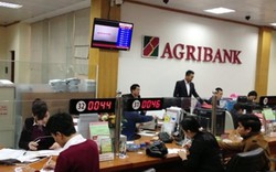 Agribank dành nguồn vốn tập trung phát triển sản xuất, kinh doanh