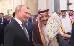 Quà độc Putin tặng Quốc vương Salman của Ả Rập Saudi