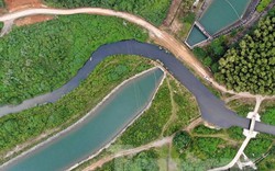 Từ vụ nước sông Đà nhiễm dầu: Ai bảo vệ nguồn nước sạch của Thủ đô?