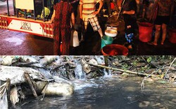 Vụ nước Sông Đà bị ô nhiễm: Kẻ “đầu độc” nguồn nước đối mặt hình phạt nào?