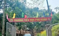 Hiệu phó trường tiểu học xin thôi chức để đi cai nghiện