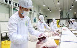 Nguy cơ thiếu thịt lợn nghiêm trọng dịp Tết Nguyên Đán 2020