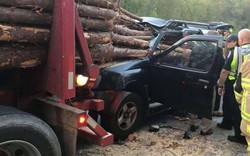 Xe bị hàng loạt cây gỗ đâm xuyên kinh hoàng từ trước ra sau, tài xế vẫn may mắn sống sót