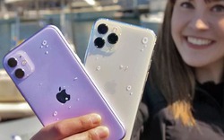 iPhone 11 Pro bị chính Apple hạ thấp tính năng quan trọng này