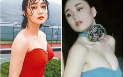 Hai "ông hoàng võ thuật châu Á" cùng lấy vợ hoa hậu sexy, con nhà giàu