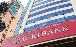 Agribank xin tăng vốn điều lệ 20.000 tỷ bằng tiền thu được từ nợ xấu