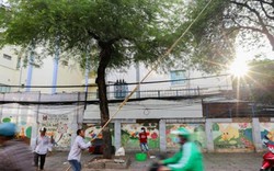 Nghề lạ ở Sài Gòn: Cầm gậy dài 15m ra đường mà "hái ra tiền"