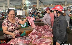 Giá heo hơi Ninh Thuận tăng mạnh, đạt 60.000 - 65.000 đồng/kg