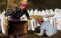 Nghề lạ ở Lạng Sơn: Gom "phân vua" trong hang tối kiếm ra tiền