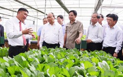 “Cầu nối” phát triển nông nghiệp công nghệ cao ở Lâm Đồng
