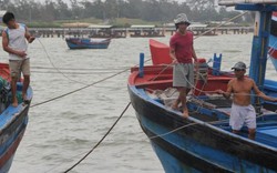 Phú Yên: Kêu gọi 1.924 lao động trên biển tìm nơi tránh trú an toàn