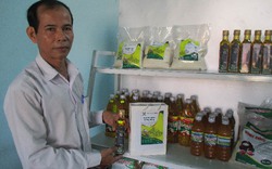 Quảng Nam: Loại hạt và dầu dùng chế biến món ăn tiến vua
