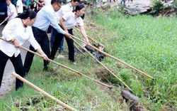 Hội Nông dân TP HCM đóng góp lớn xây dựng nông thôn mới