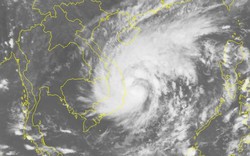Tin mới cơn bão số 5: Giật cấp 12, mưa to từ Quảng Ngãi - Khánh Hòa