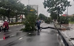 Đà Nẵng: Cây đổ la liệt, phụ huynh học sinh bị gió quật ngã ra đường