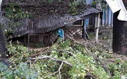 Phú Yên: Bão số 5 khiến nhà sập, cây đổ, nhiều xã, phường mất điện
