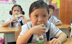 TP.HCM: Từ 1/11, 300.000 học sinh được uống sữa học đường mỗi ngày