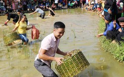 Hà Giang: Cả làng ra xem, cổ vũ trai gái lội ruộng thi úp bắt cá