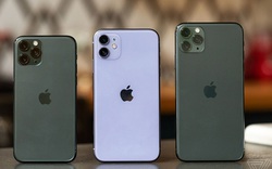 Loạt iPhone 11 có thành công như báo giới tung hô?