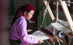 Hà Giang: Sợi lanh “nhả vàng” của phụ nữ dân tộc Mông miền cực Bắc