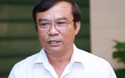 Phó trưởng đoàn ĐBQH Đà Nẵng lên tiếng về dự án Bà Nà Hills