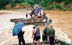 Bình Định: “Lạnh gáy” người dân ghép cây làm cầu tạm vượt sông