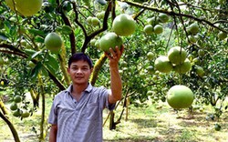 Giúp nông dân tránh cảnh “được mùa, mất giá”