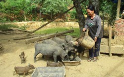 Quảng Nam: Miền núi nuôi gà đồi, lợn rừng, thoát nghèo nhanh