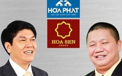 Cơ hội nào cho “vua thép” Trần Đình Long, “vua tôn” Lê Phước Vũ?