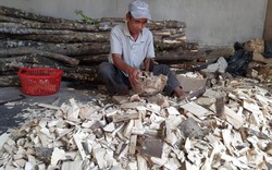 Khánh Hòa: Hồi sinh làng nghề làm ra thứ trầm thơm nức tiếng