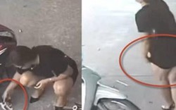 VIDEO HY HỮU: Người phụ nữ bắt trộm mèo rồi... giấu trong váy!