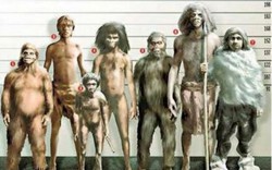 Bí ẩn về sự trả thù dai dẳng của người Neanderthal