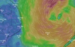 Bão số 6 Nakri liên tục đổi hướng, di chuyển nhanh về phía Trung và Nam Trung Bộ