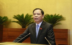 Bộ trưởng Nguyễn Xuân Cường: Không hề giấu thông tin về dịch tả lợn