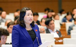 Truy trách nhiệm Bộ trưởng Trần Tuấn Anh vụ hàng TQ “đội lốt” Việt
