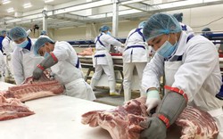 Trả lời chất vấn trước Quốc hội, Bộ trưởng NNPTNT khen Masan đầu tư tổ hợp chế biến thịt nghìn tỷ