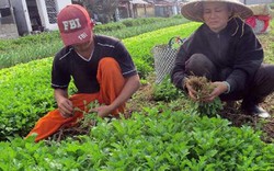 Phú Yên: Nâng tầm đặc sản ở đất “hoa vàng, cỏ xanh”
