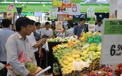 Hà Nội kết nối đưa nông sản nổi tiếng vào siêu thị Big C, Go!