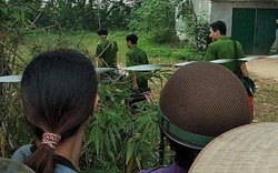 Nghi án con dùng súng sát hại bố ở Phú Thọ: Gia đình hay mâu thuẫn