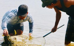 Tấp nập đi "săn" cá nâu, cá hồng bé li ti ở cửa biển Thuận An