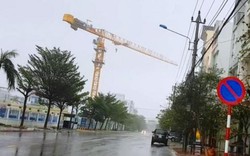 Bão số 6: Tháp cẩu quay như “chong chóng”... gây bất an ở Quy Nhơn