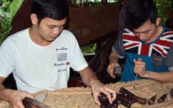 OCOP - động lực tăng tốc xây dựng nông thôn mới xứ Quảng