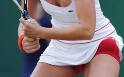Nhức nhối Wimbledon: "Quần nhỏ" hững hờ, thảm họa Sharapova