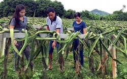 Xã nghèo đột phá, về đích trước 2 năm nhờ xây dựng nông thôn mới