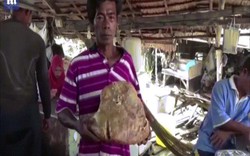 Thái Lan: Đang bới rác, tình cờ tìm thấy vật quý lên tới 2,3 tỷ đồng?