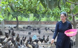 Đắk Lắk: Mặc áo chàm nuôi thứ gà đen, thu lãi hàng trăm triệu/năm