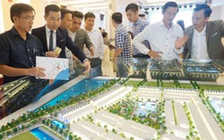 Phân phối đất ở dự án, doanh nghiệp Quảng Ngãi "thua" trên sân nhà