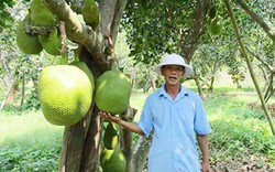 Đại Hưng hưởng “trái ngọt” từ nông thôn mới