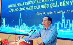 Quảng Ninh: Bàn giải pháp phát triển nuôi tôm thẻ chân trắng